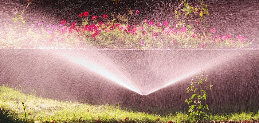 Sprinkler on garden